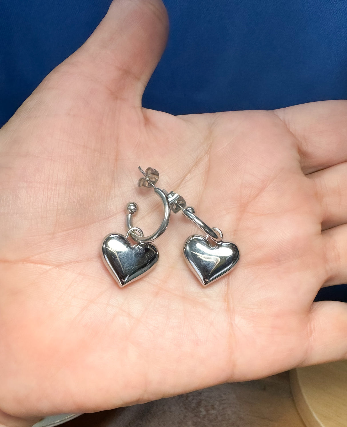 Stainless steel earrings