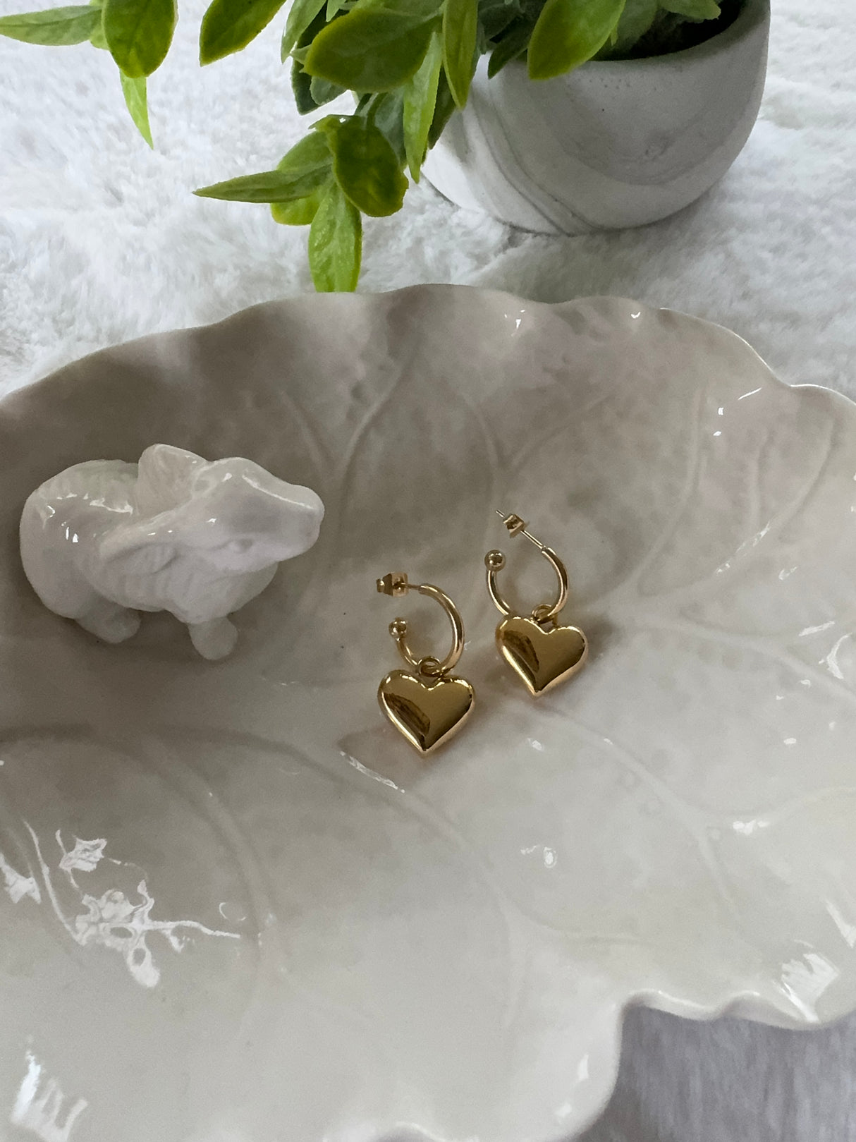 Stainless steel earrings