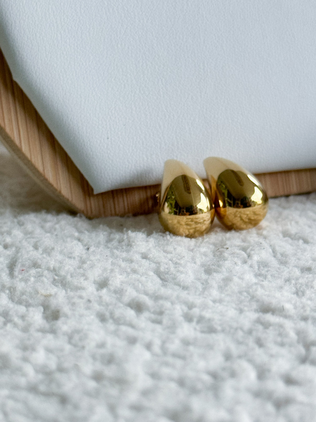 Teardrops earrings -Stainless Steel