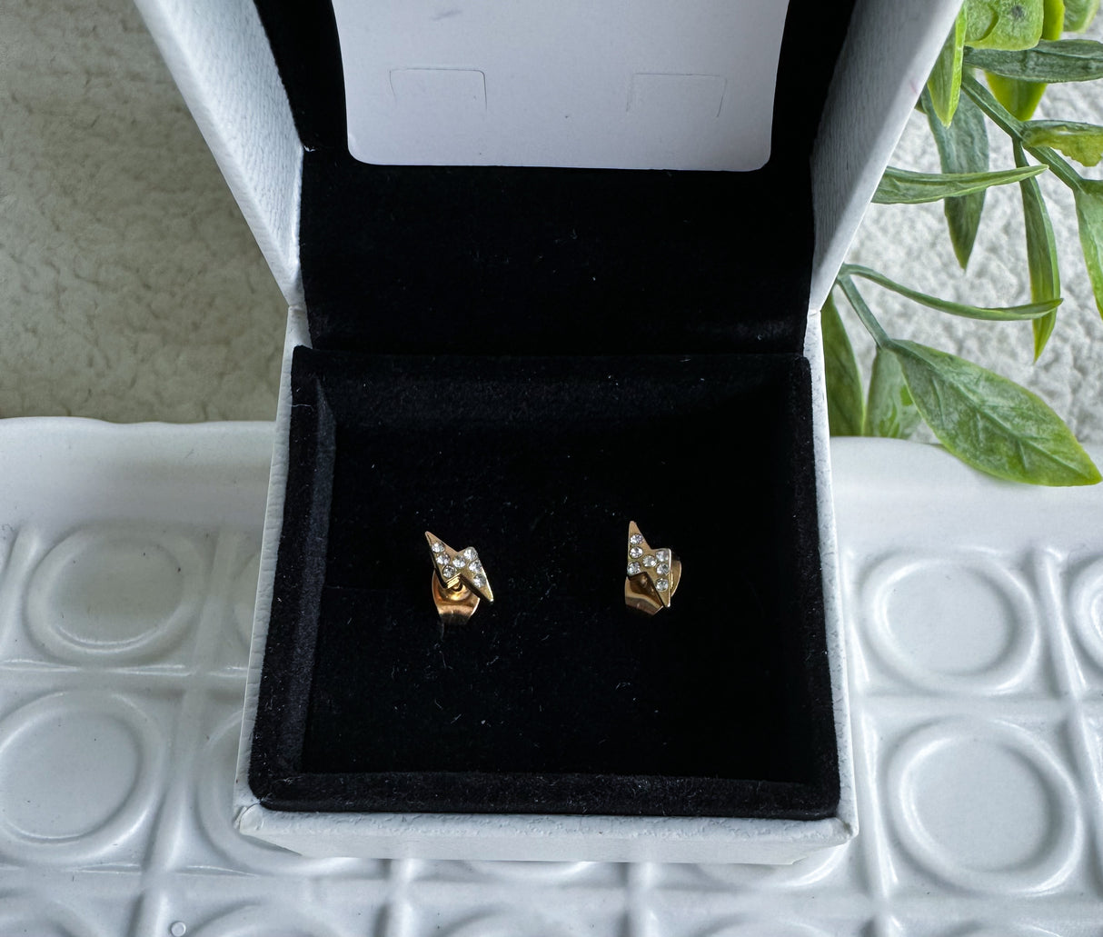 Ray earrings - Stainless steel