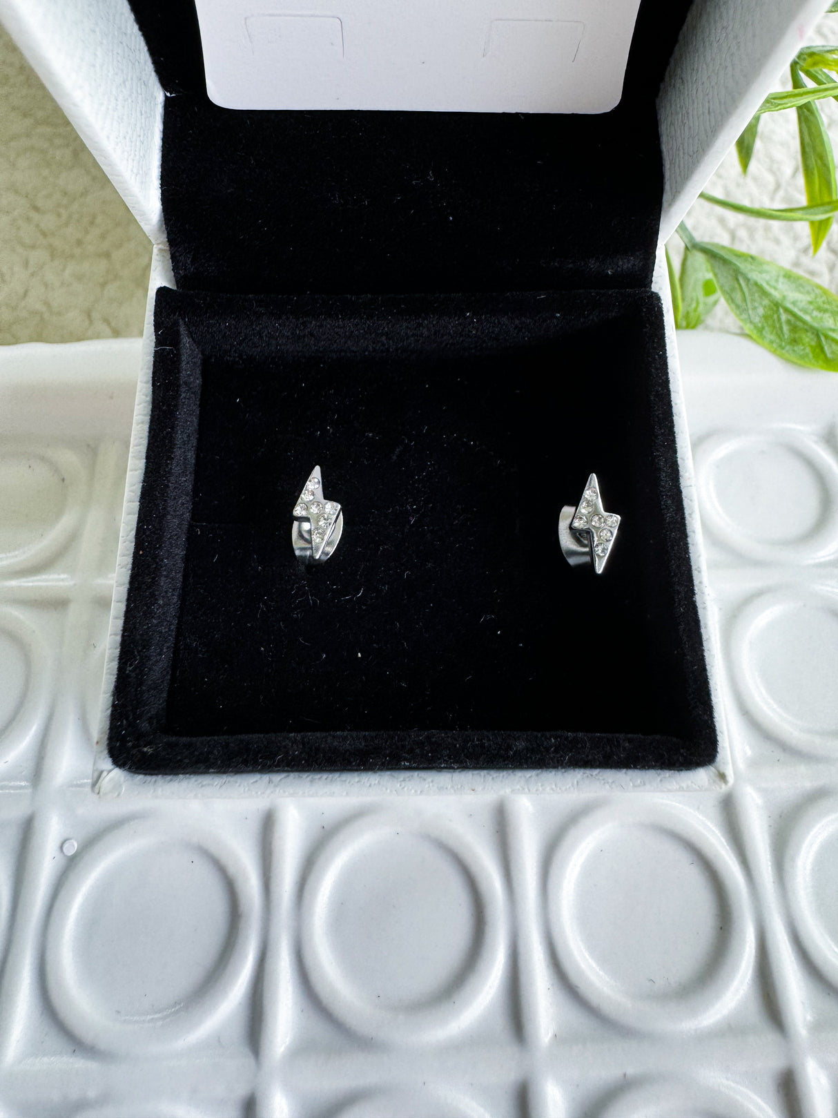 Ray earrings - Stainless steel