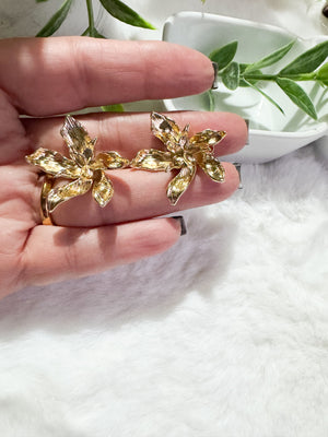 Liam earrings