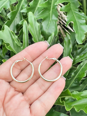 Cristale earrings