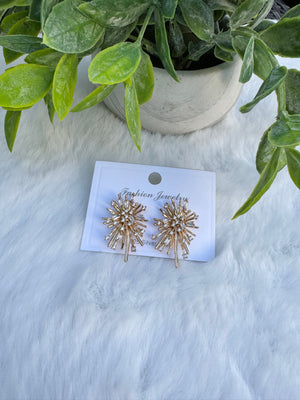 Demi earrings