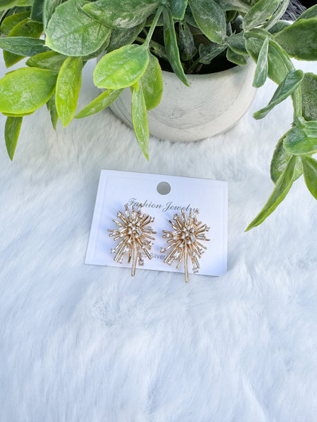 Demi earrings