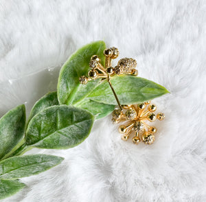 Hipatia earrings