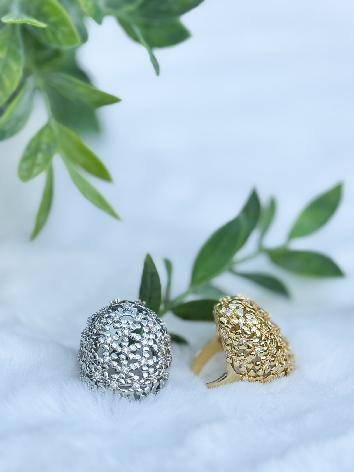 Shirley ring