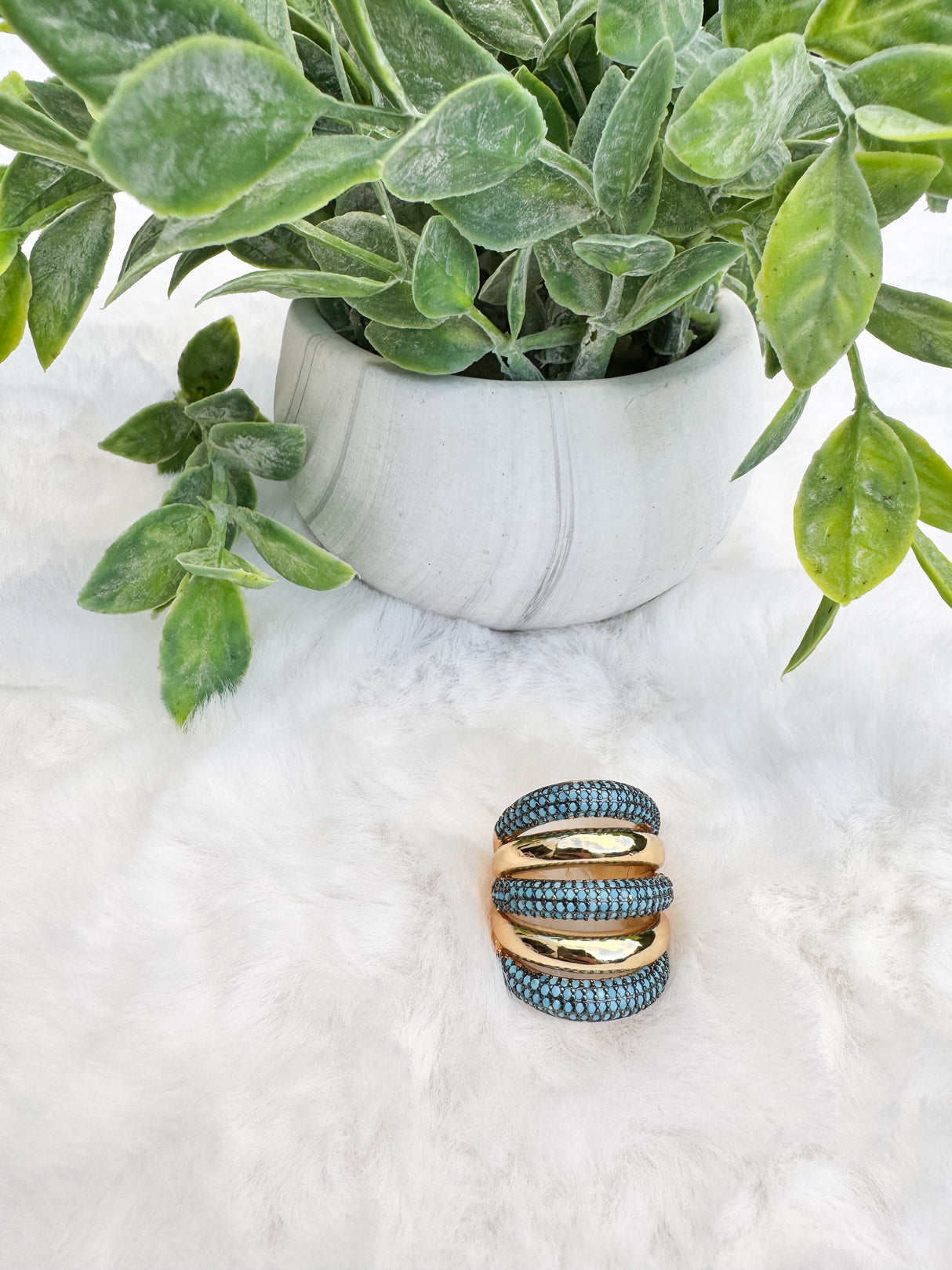 Catalina ring